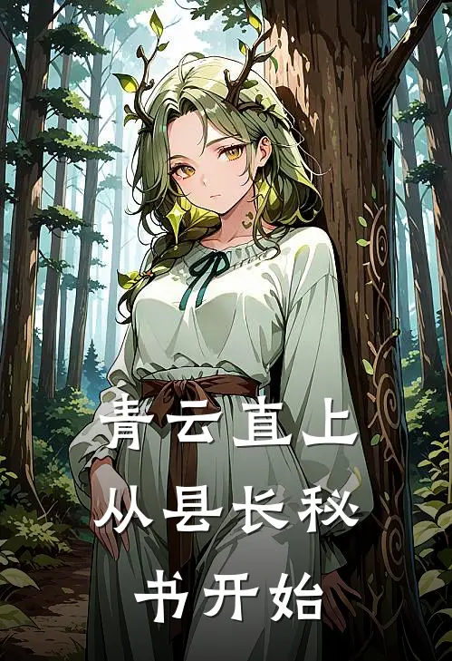 青云直上：从县长秘书开始